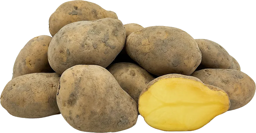 Variétés pour frites
