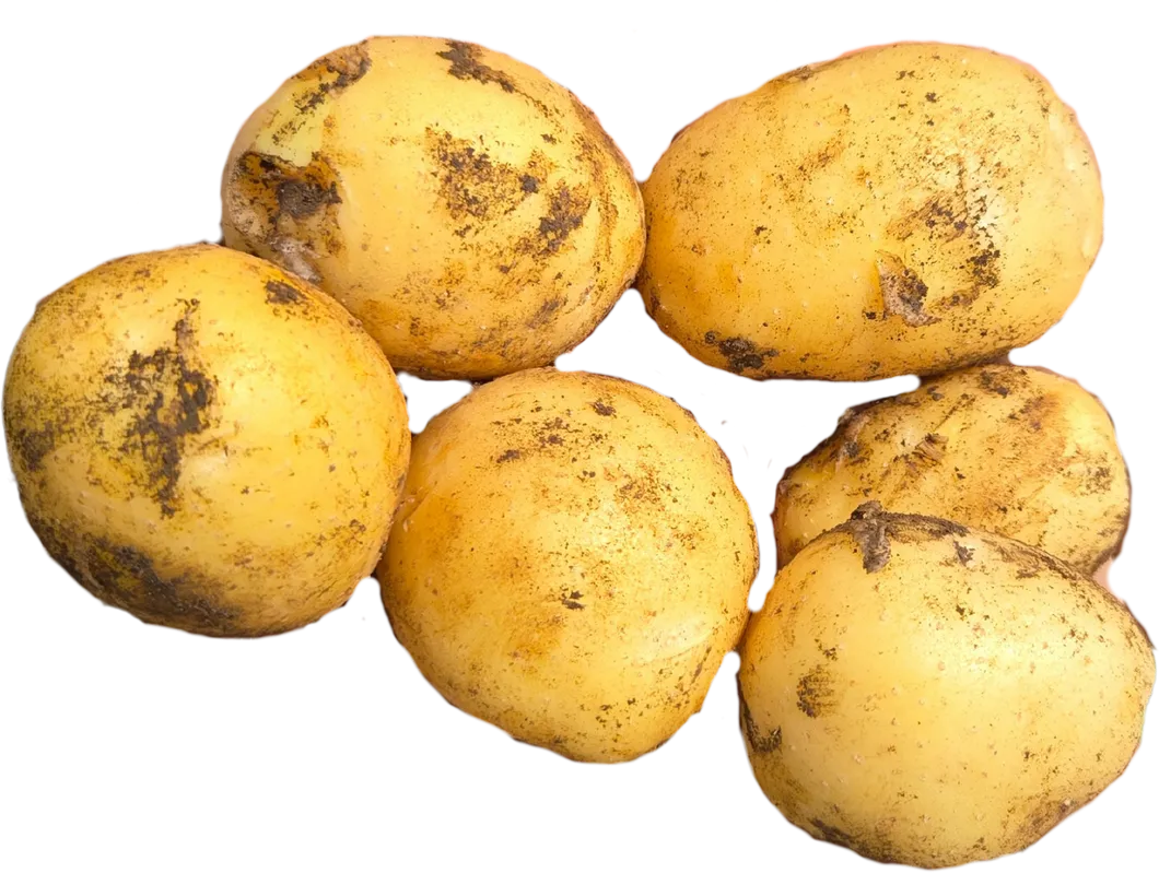 Variétés de consommation