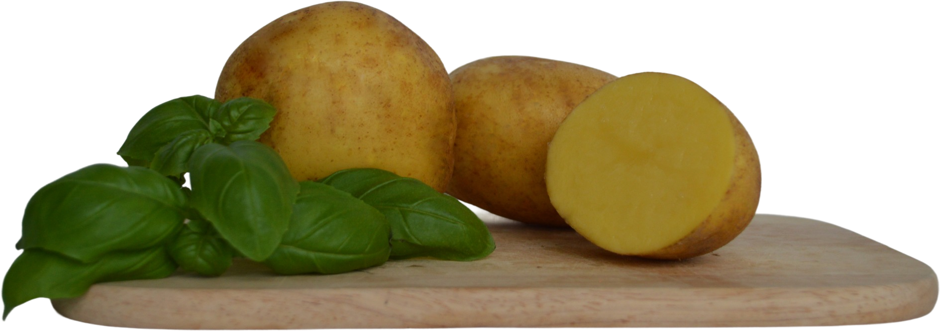 POGORIA