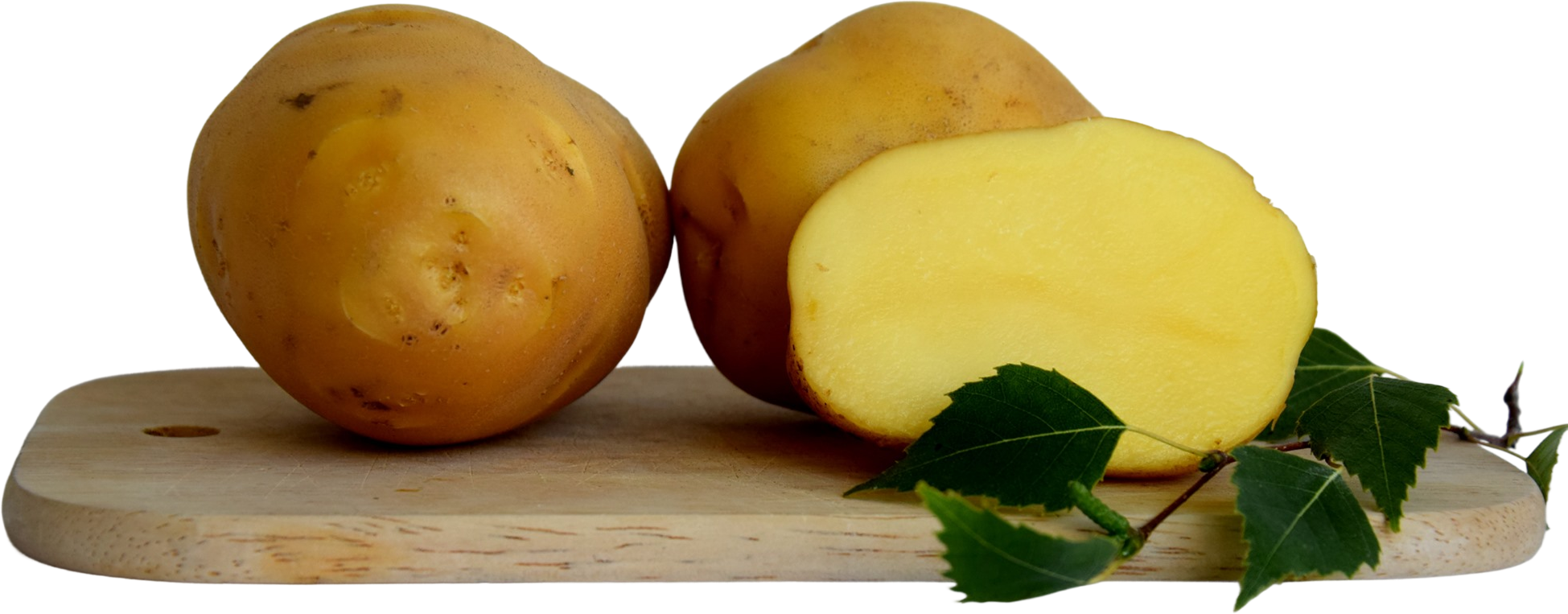TONACJA